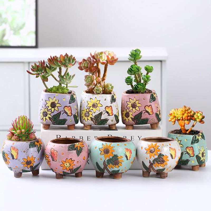 Korean Style Sunflower Pattern - Echeveria Succulent review and price