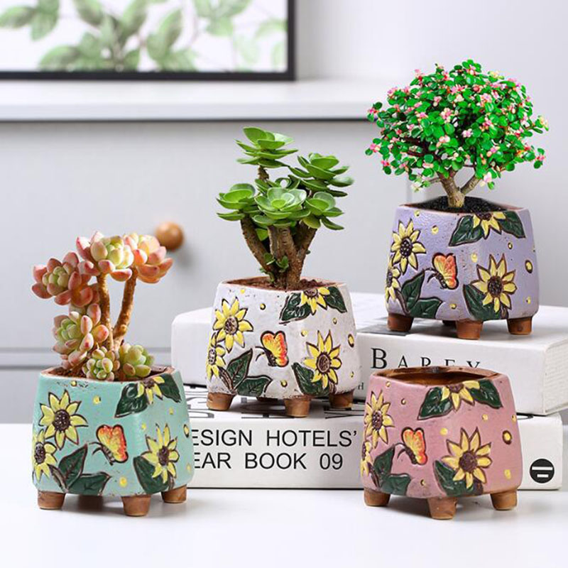 Korean Style Sunflower Pattern - Echeveria Succulent review and price