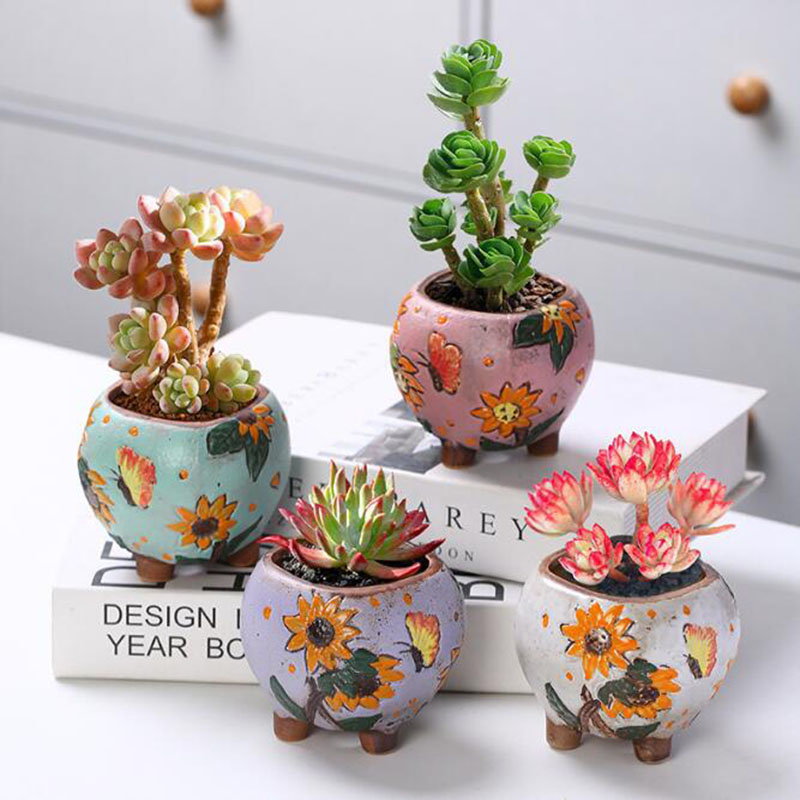 Korean Style Sunflower Pattern - Echeveria Succulent review and price