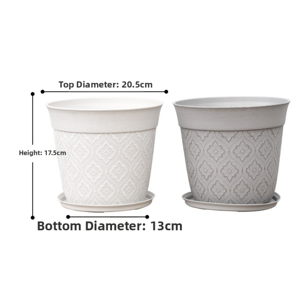 8in Flower Pot With Drainage H - Echeveria Succulent review and price