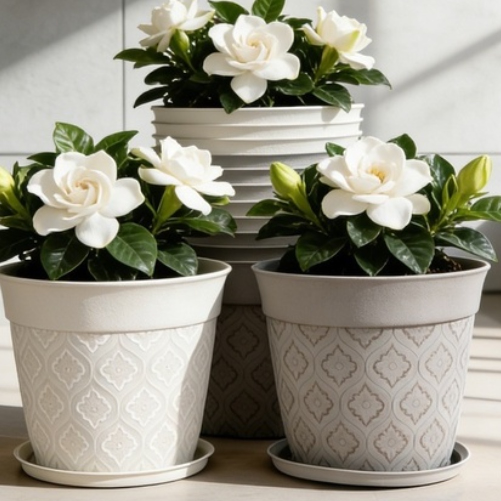 8in Flower Pot With Drainage H - Echeveria Succulent review and price
