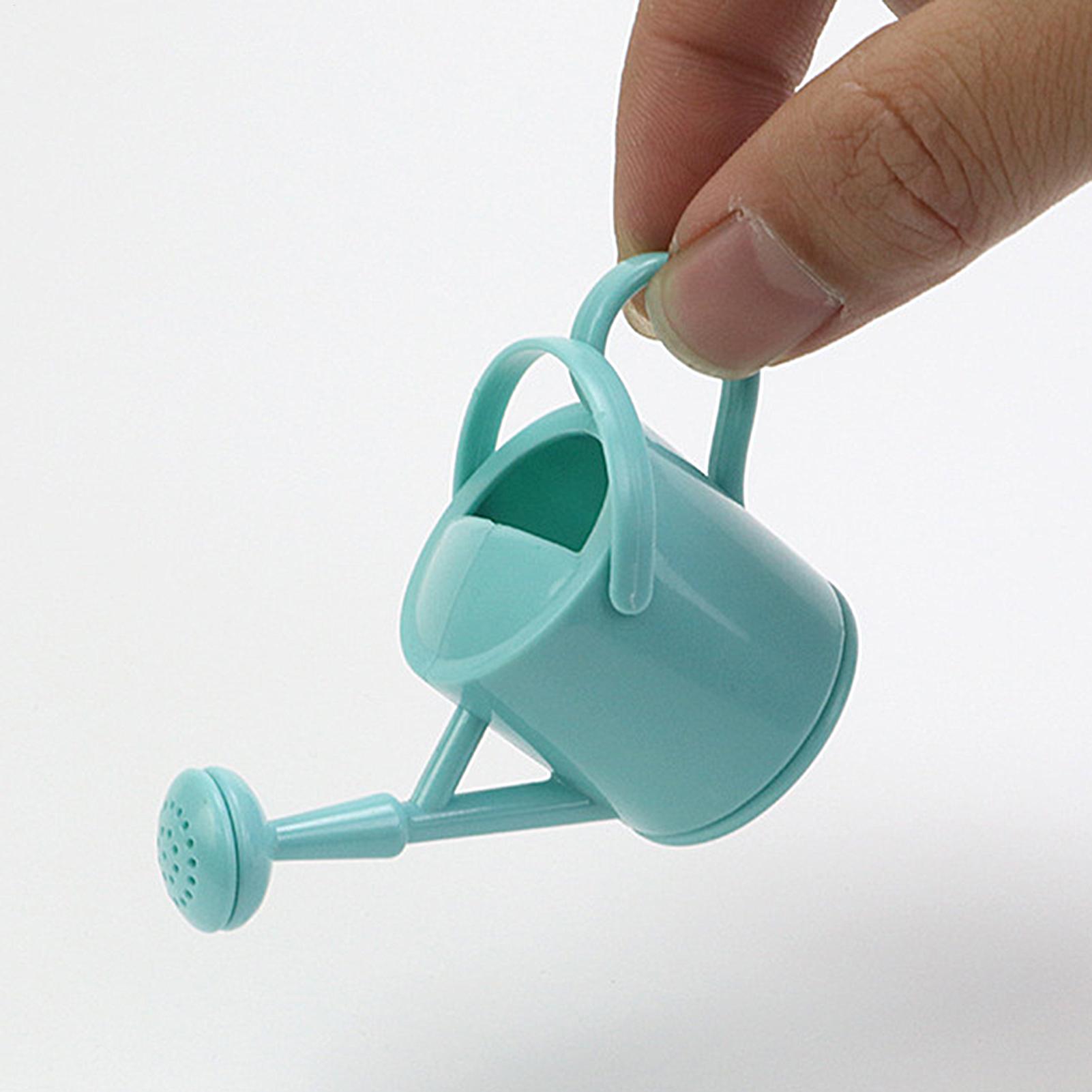 Small Kids Watering Can Flexib - Echeveria Succulent review and price