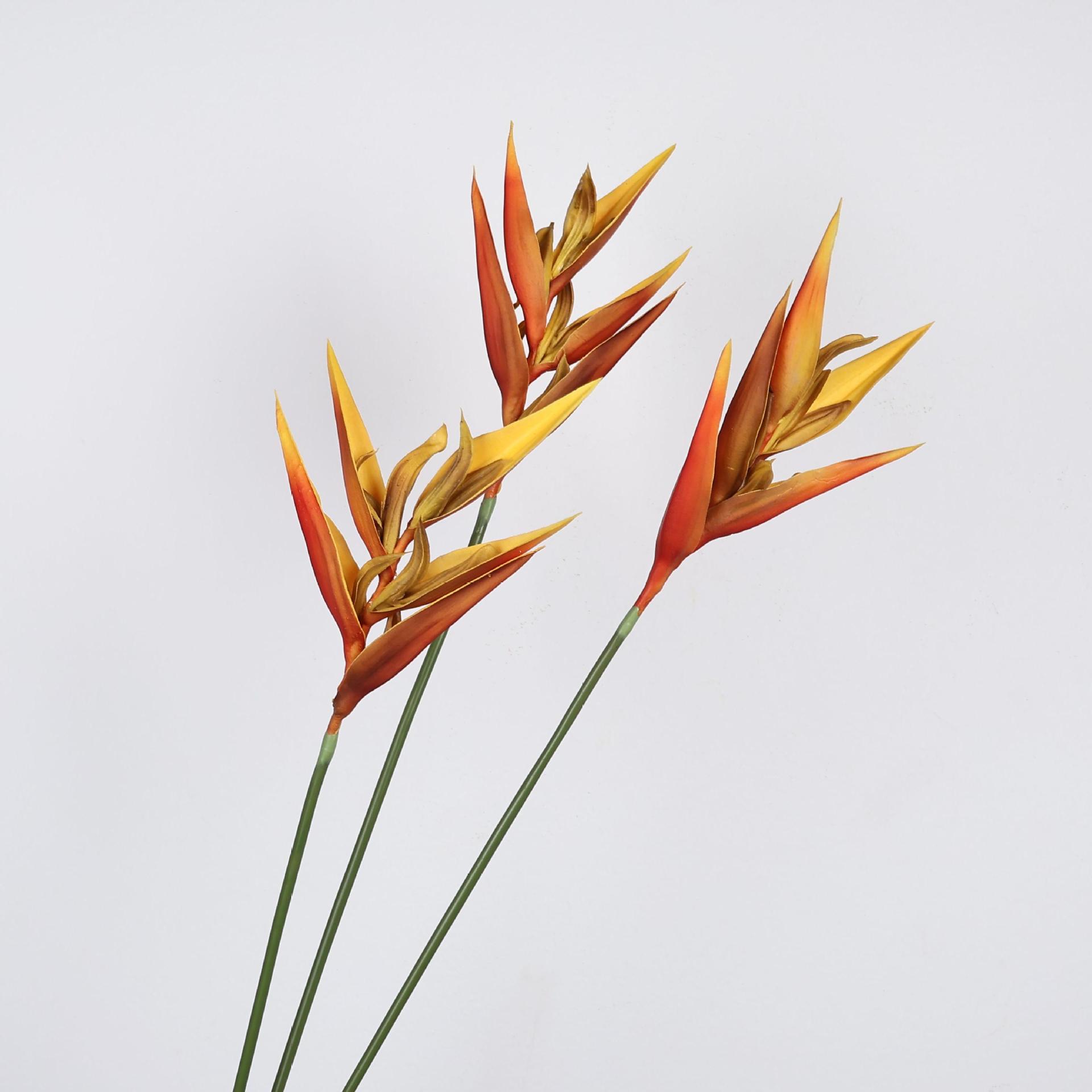 36.6 Inch Artificial Bird of P - Bird Paradise Strelitzia review and price