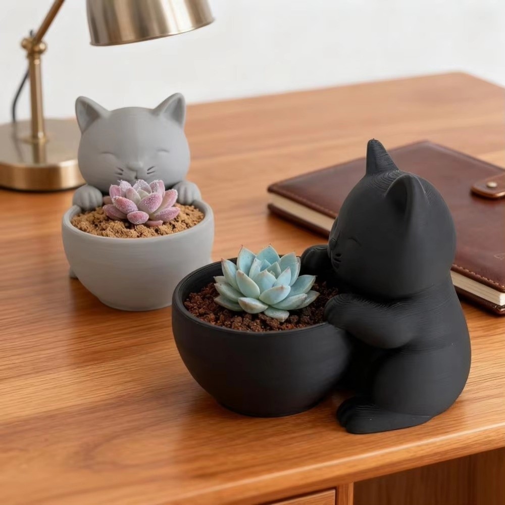 Mini Small Flowerpot with Drai - Echeveria Succulent review and price