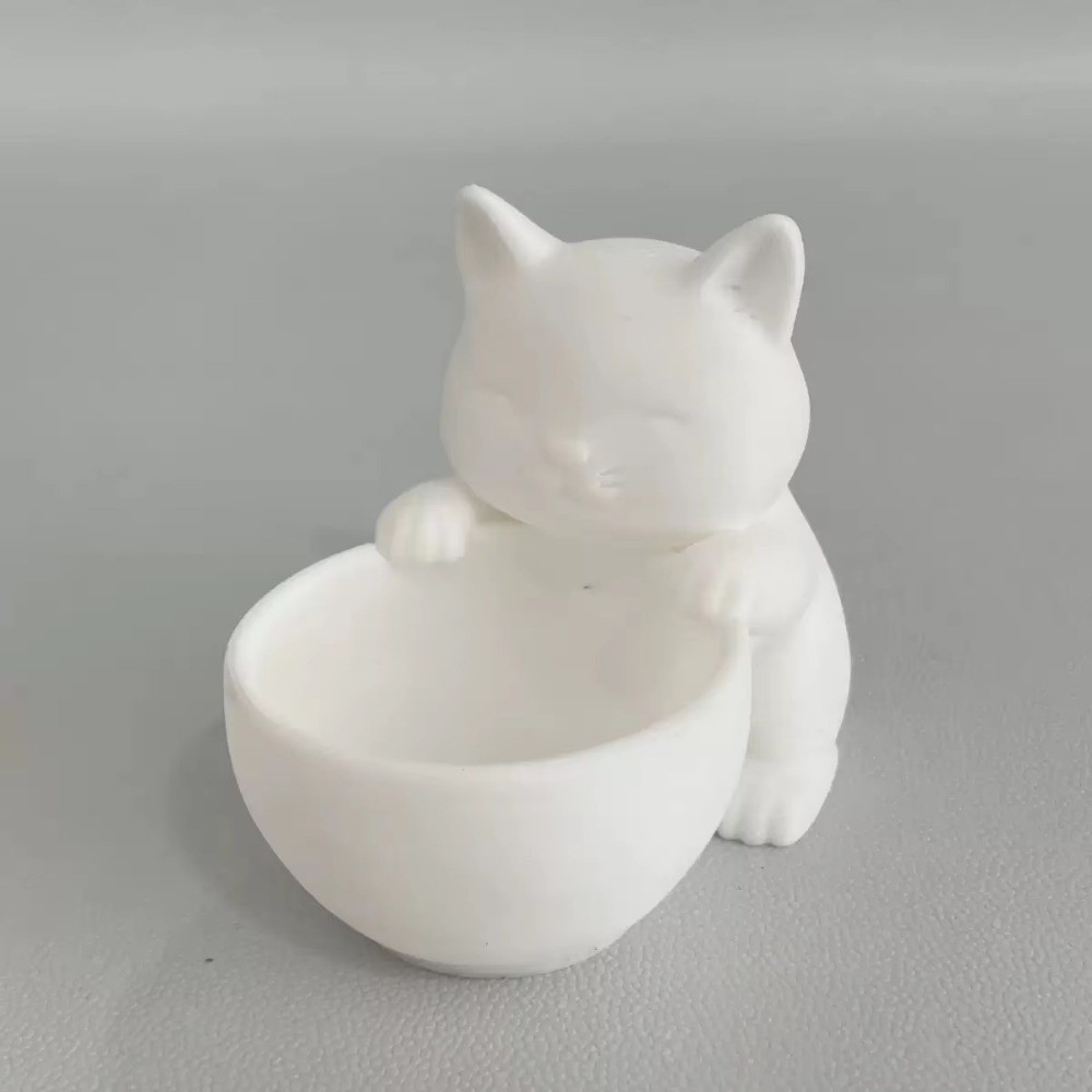 Mini Small Flowerpot with Drai - Echeveria Succulent review and price