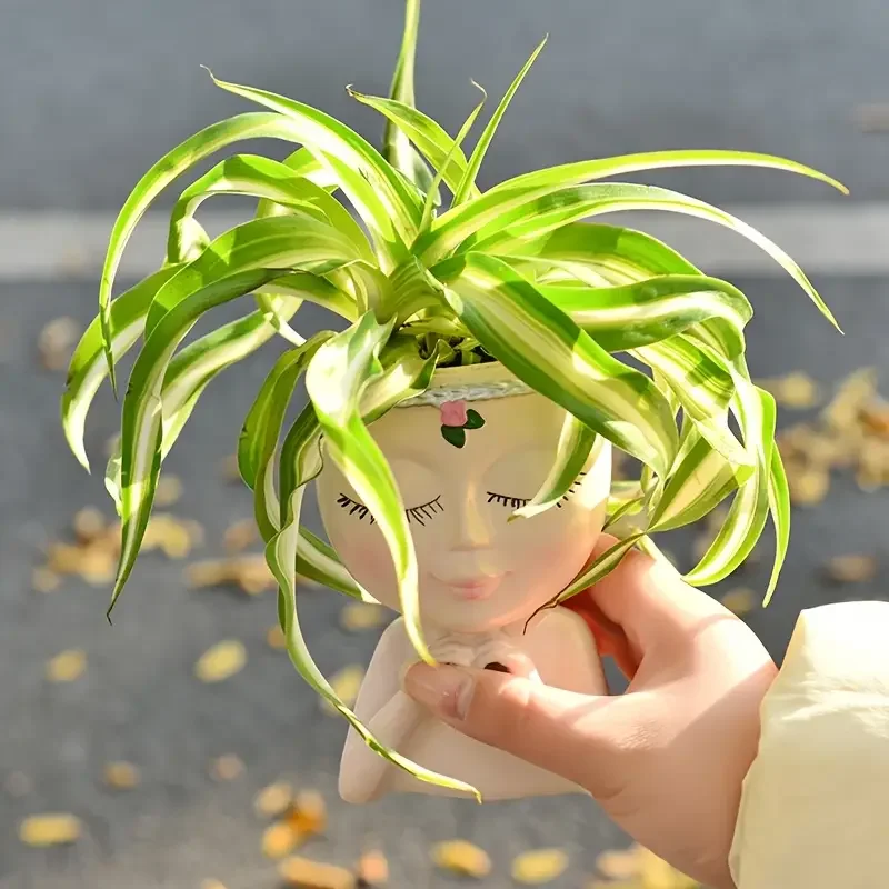 Heart‑Handed Girl Resin Succul - Echeveria Succulent review and price