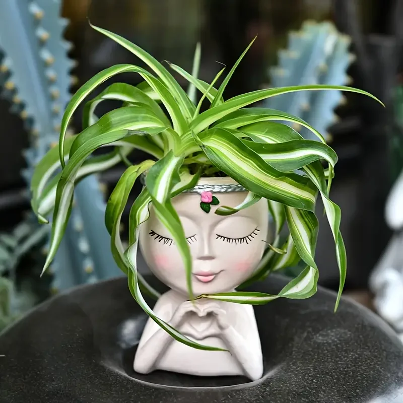 Heart‑Handed Girl Resin Succul - Echeveria Succulent review and price