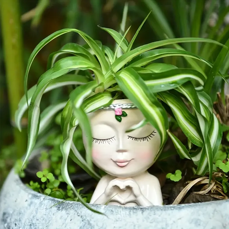 Heart‑Handed Girl Resin Succul - Echeveria Succulent review and price