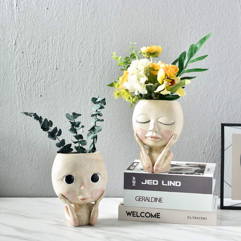 Girls Face Head Flower Planter - Echeveria Succulent review and price