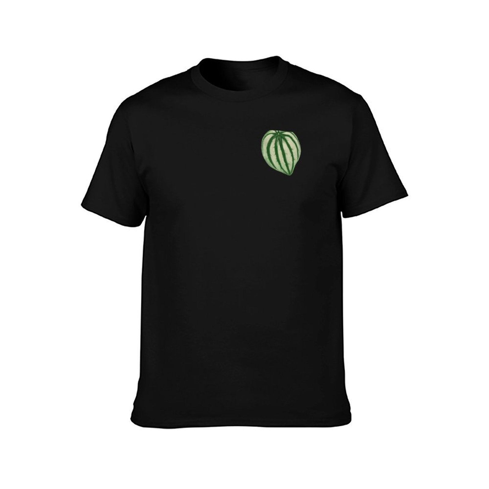 Watermelon Peperomia T-Shirt C - Peperomia Watermelon review and price