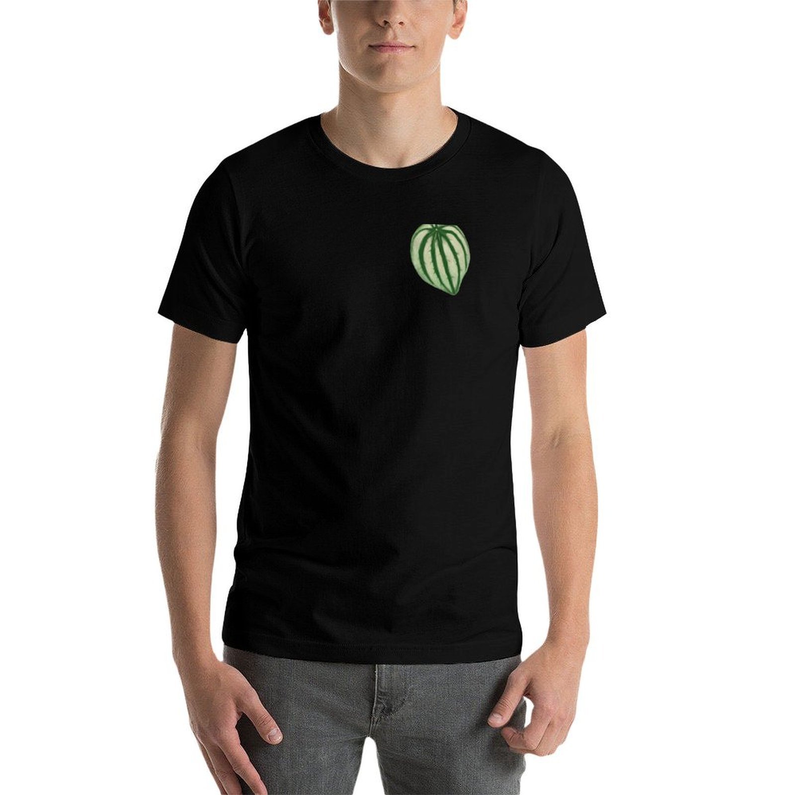 Watermelon Peperomia T-Shirt C - Peperomia Watermelon review and price