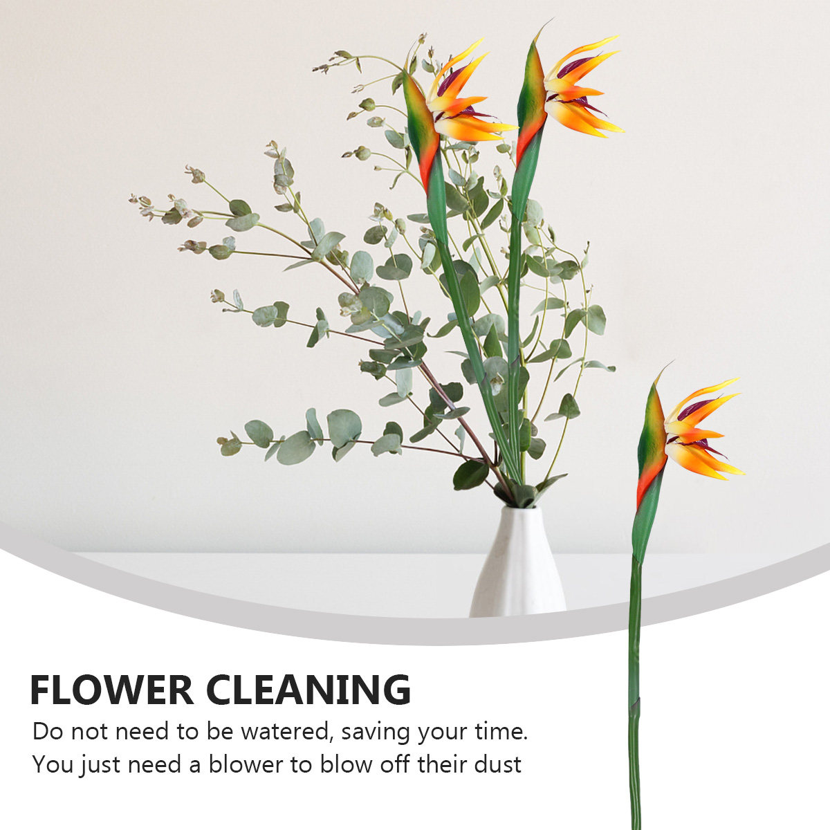 Faux Bird of Paradise Plant Ar - Bird Paradise Strelitzia review and price